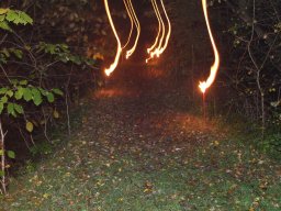 img_0395_web